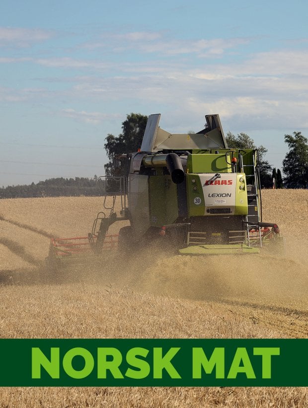 2023 norskmat