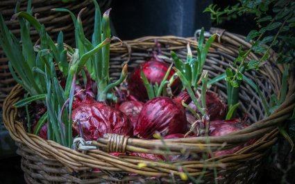 Løk i kurv
