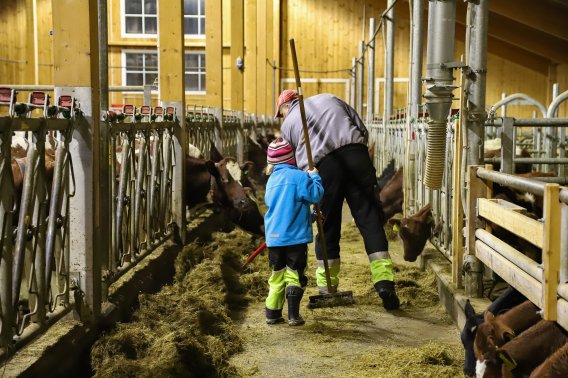 Ekstra støtte til investeringer i landbruket Ekstra støtte til investeringer i landbruket