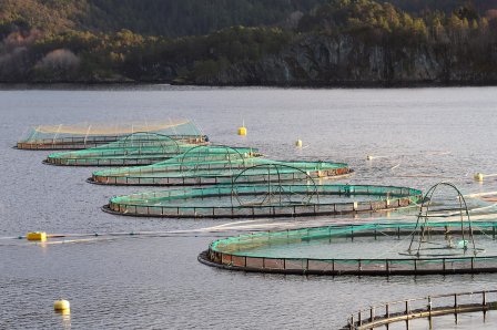 2019 - Fiskeoppdrettsanlegg i Sogn og Fjordane