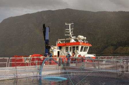 2020 Oppdrettsanlegg for laks, Sogn og Fjordane