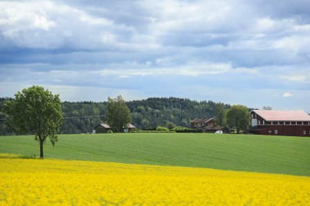 Ikke bestemt deg? Ikke bestemt deg?