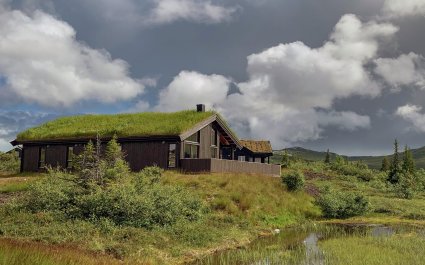 Diverse tatt i Buskerud