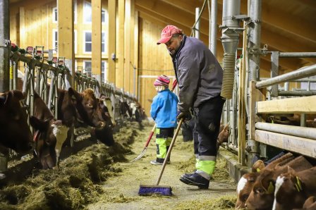 Enighet om strømstøtte til landbruket Enighet om strømstøtte til landbruket