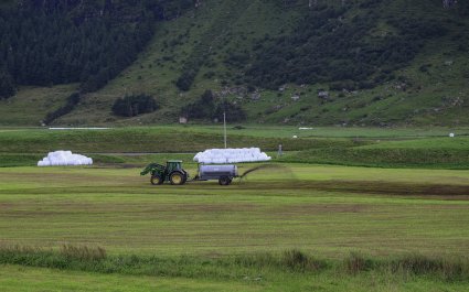 Sogn og Fjordane - backup