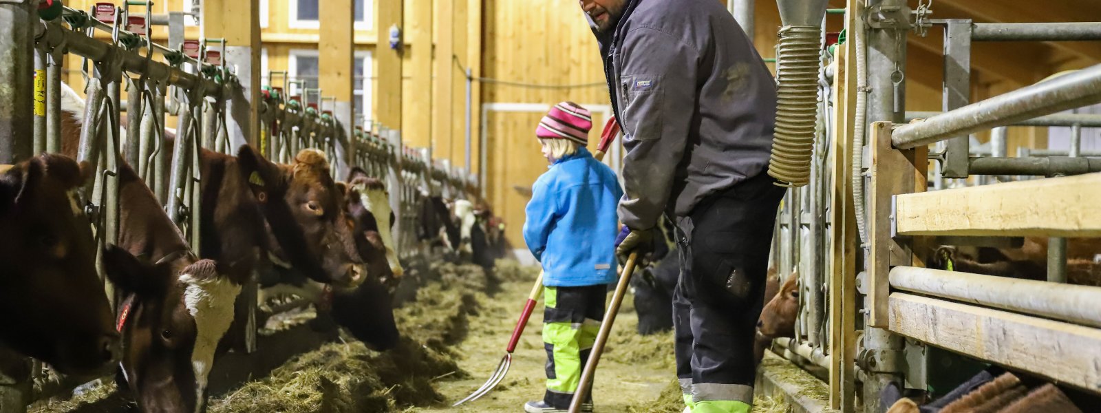 landbruk-ku-fjøs-familie-barn-49091144803_70eaa71de7_o