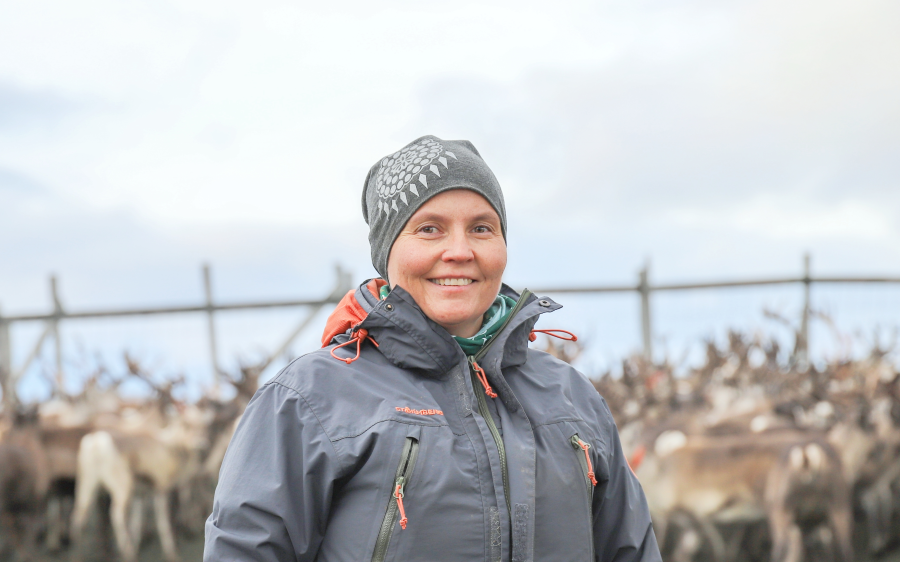 Nancy Porsanger Anti ved reinflokken
