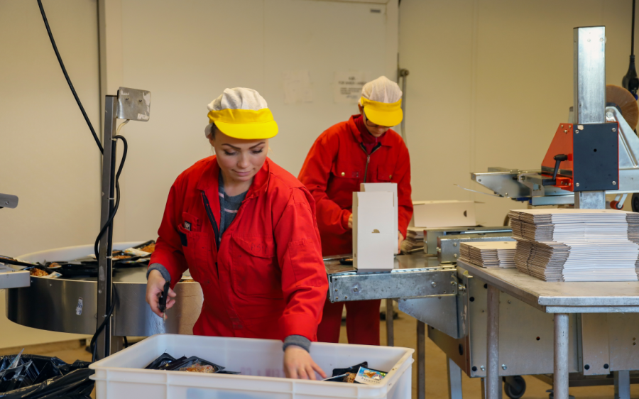 Fiskeforedling
