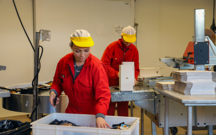 Fiskeforedling