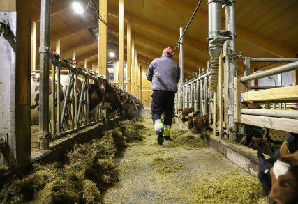 Matvareberedskap og jordbruksoppgjøret 2022 Matvareberedskap og jordbruksoppgjøret 2022