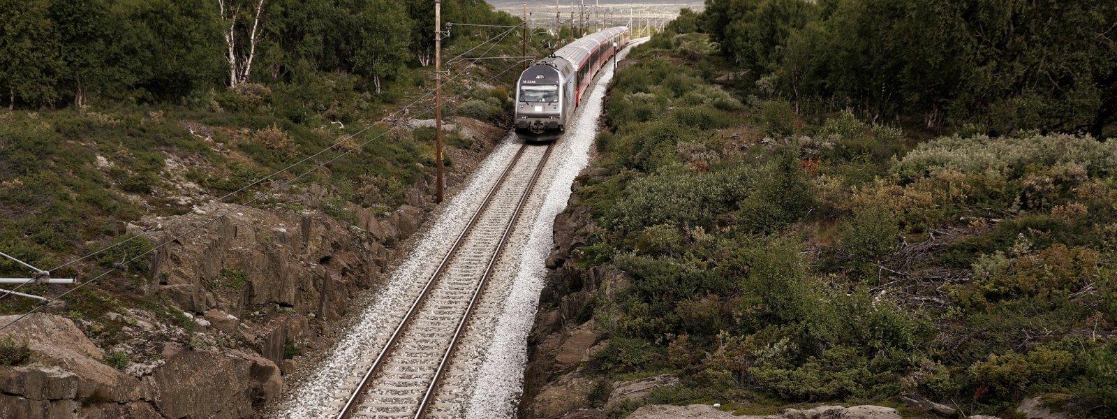 2020 Tog på vei inn til Hjerkinn stasjon, Dovrebanen, Oppland