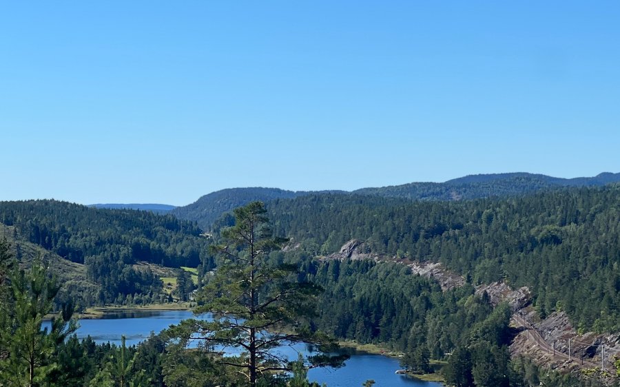 Utsikt fra dagsturhytta på Vegårshei
