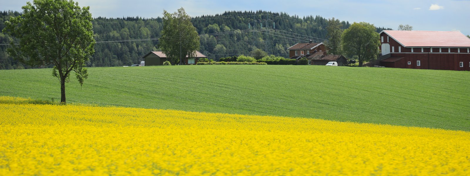 NATTUR-kulturlandskap-åker-landbruk