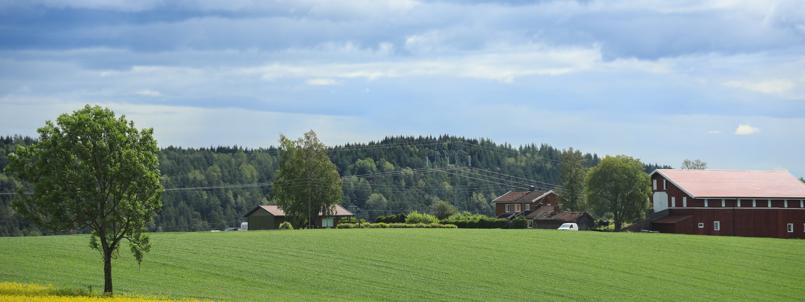 natur-kulturlandskap-åker-landbruk