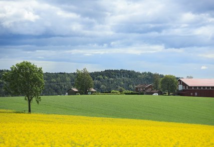 Medlemsnytt i Nes Medlemsnytt i Nes