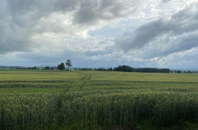 Ullensaker Senterparti