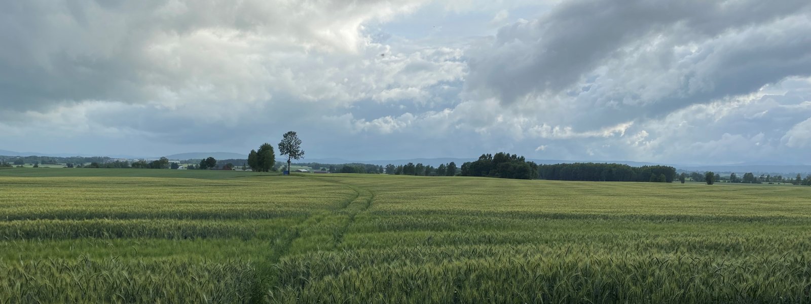 Ullensaker_landskap