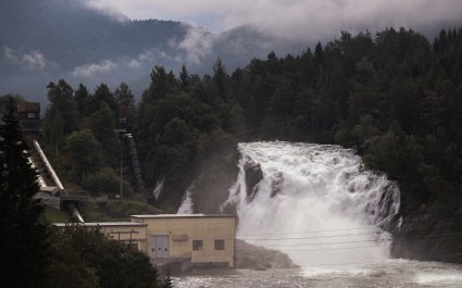 52289739872_2df915fb63_o_pe