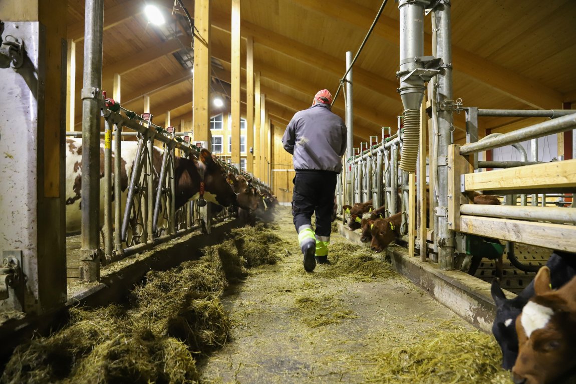 Ta vare på det norske landbruket Ta vare på det norske landbruket