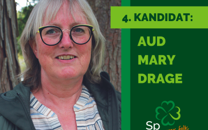 Listekandidatene FB