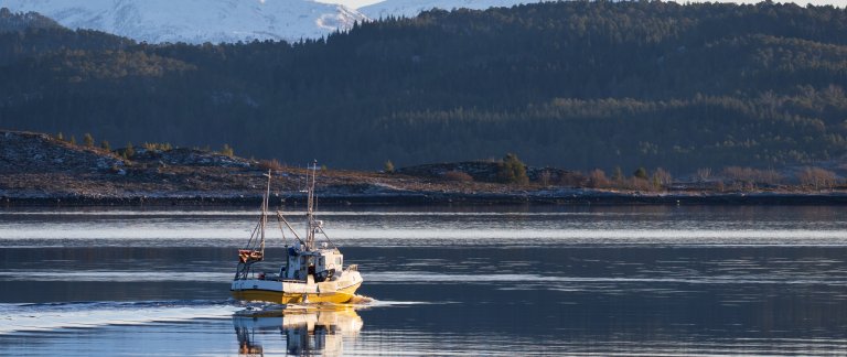 Båt på Grisvågøya