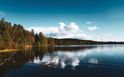 Sognsvann