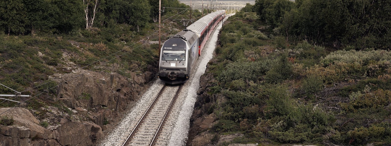 2020 Tog på vei inn til Hjerkinn stasjon, Dovrebanen, Oppland