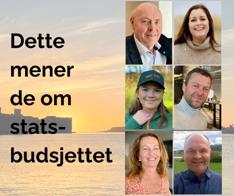 Dette mener de om stats- budsjettet.png