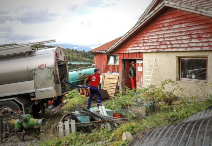 2020 Melkehenting, Sogn og Fjordane