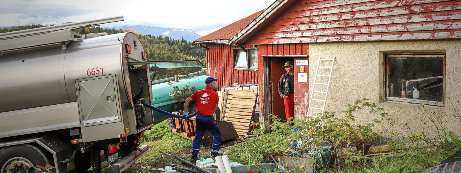 2020 Melkehenting, Sogn og Fjordane