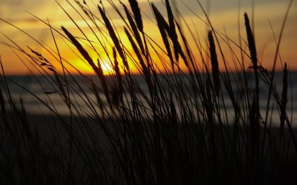 midnight-sun-g8593cae53_1280