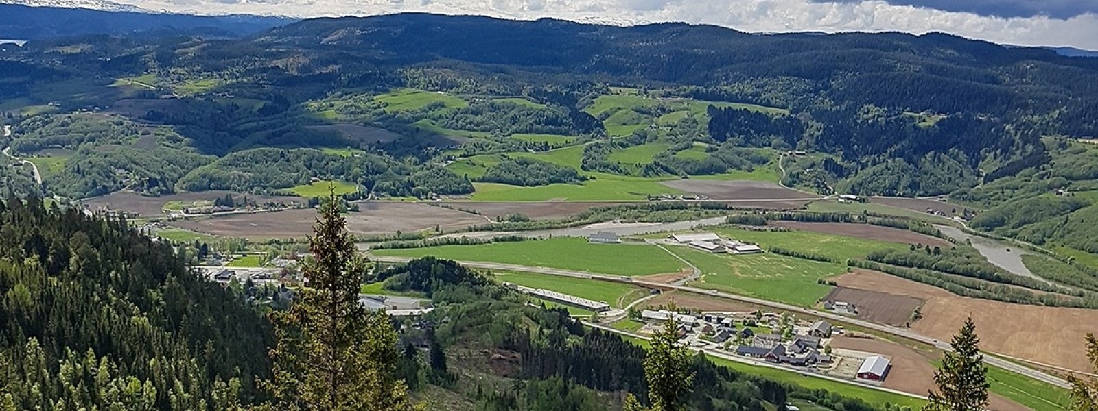 Kvål