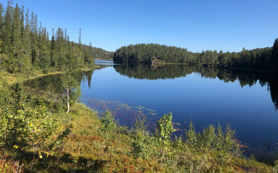 Flåmarka