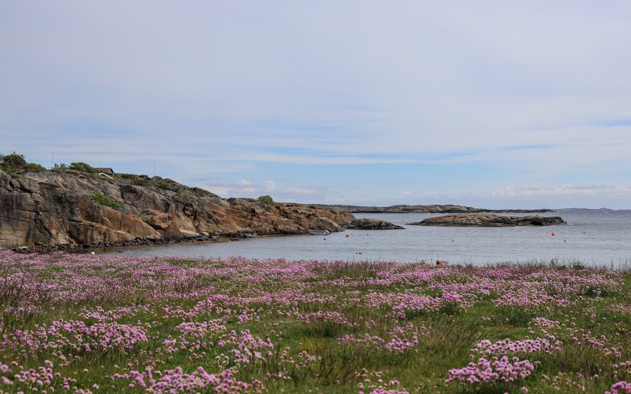 2022 Skjærgård Vestfold (2)
