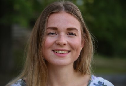 Er Larvik sentralt? Er Larvik sentralt?