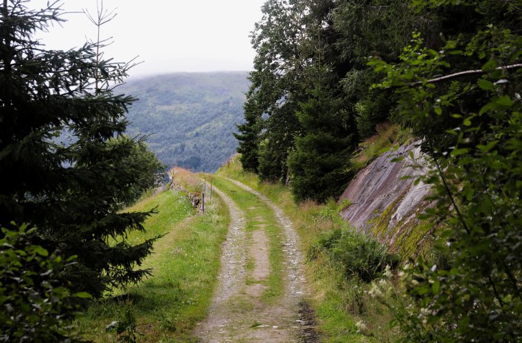 2022 Grusvei i vestlandslandskap, Sogn og Fjordane, Vestland