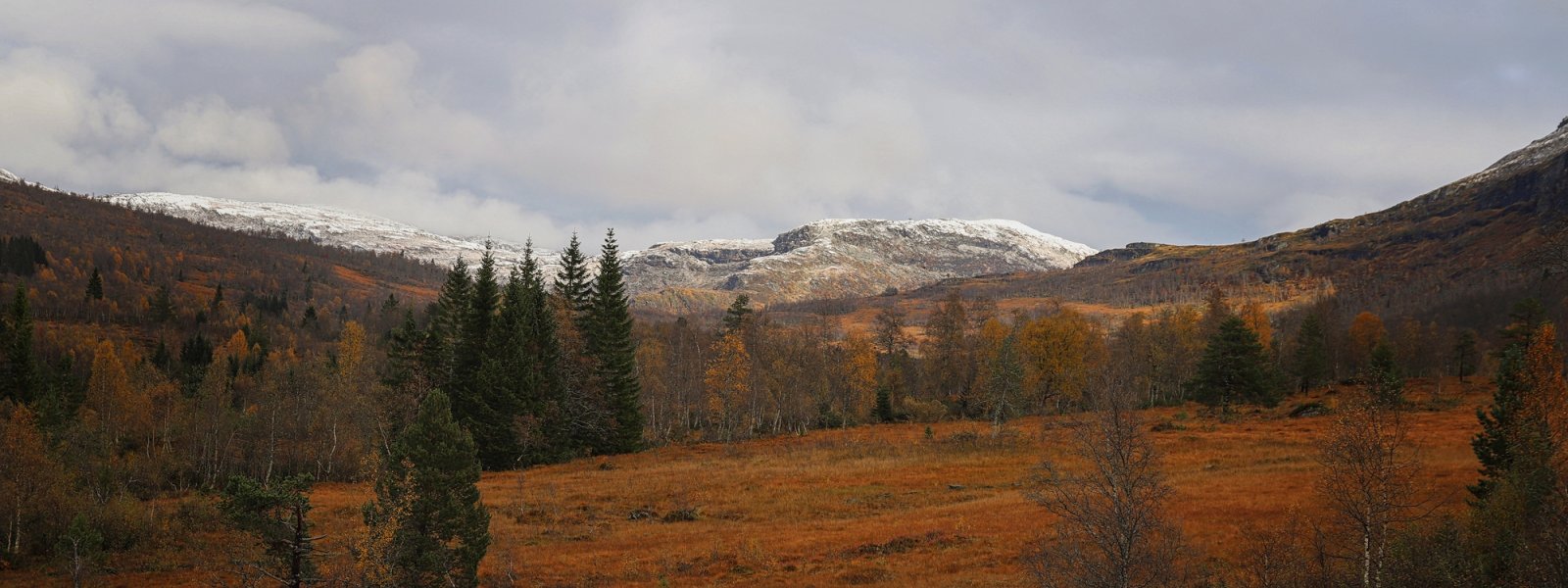 2020 Vestlandsnatur, Sogn og Fjordane