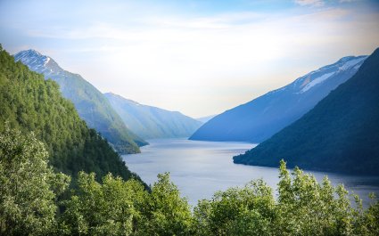 42527654272_dbe9d955ef_o