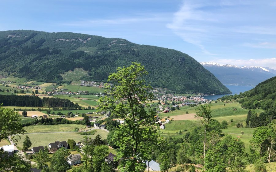 vik