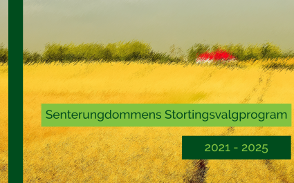 Senterungdommens stortingsvalgprogram