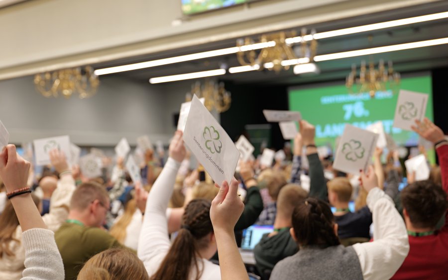 Senterungdommens landsmøte Gjøvik 081125