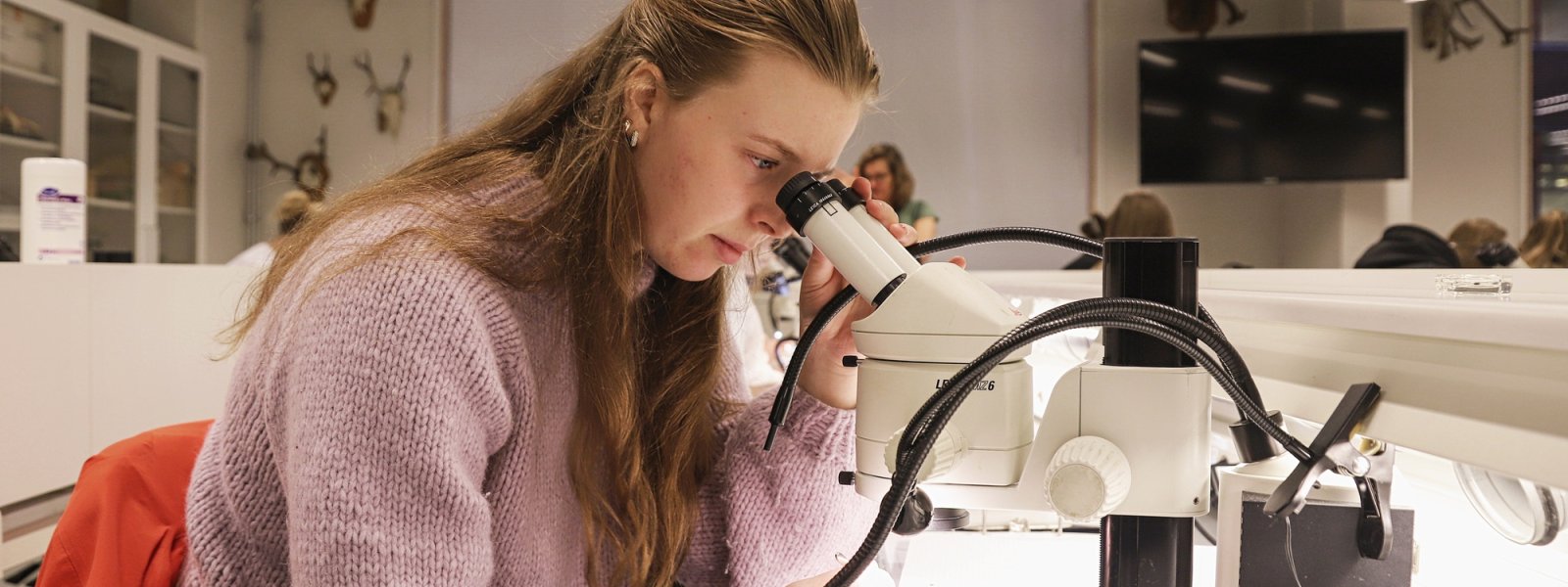 2022 Studenter på lesesal