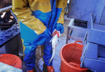 Førebygging av trakassering og uønska merksemd for kvinner i fiskeri og maritime yrker Førebygging av trakassering og uønska merksemd for kvinner i fiskeri og maritime yrker
