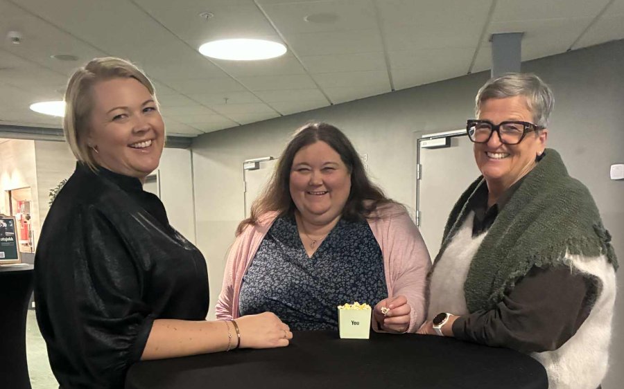 Landsstyremøte Sp 10.november 3 stk