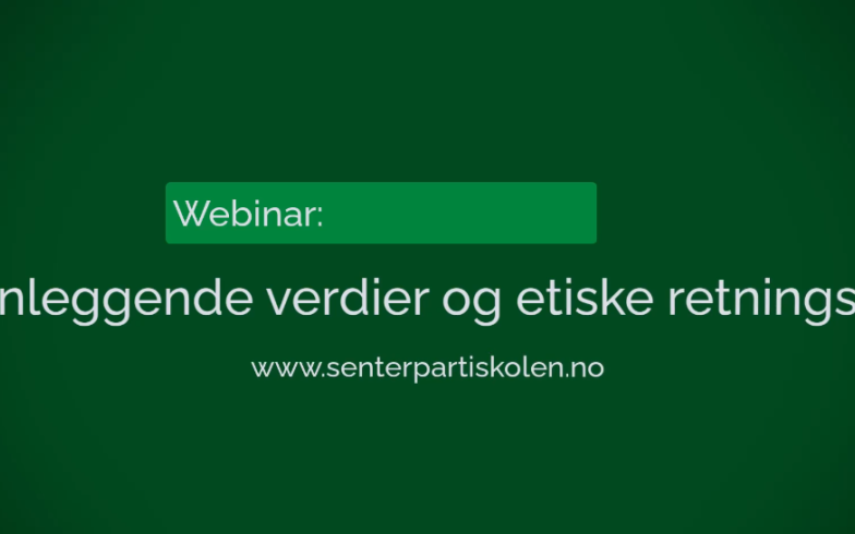 Bilde nettmøte grunnleggende verdier og etiske retningslinjer